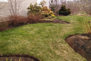 Pruning & Planting