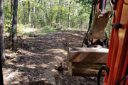 Trail Clearing