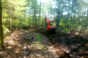 Trail Clearing