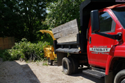 Tree Removal