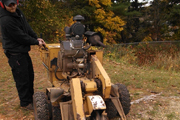 Tree Removal